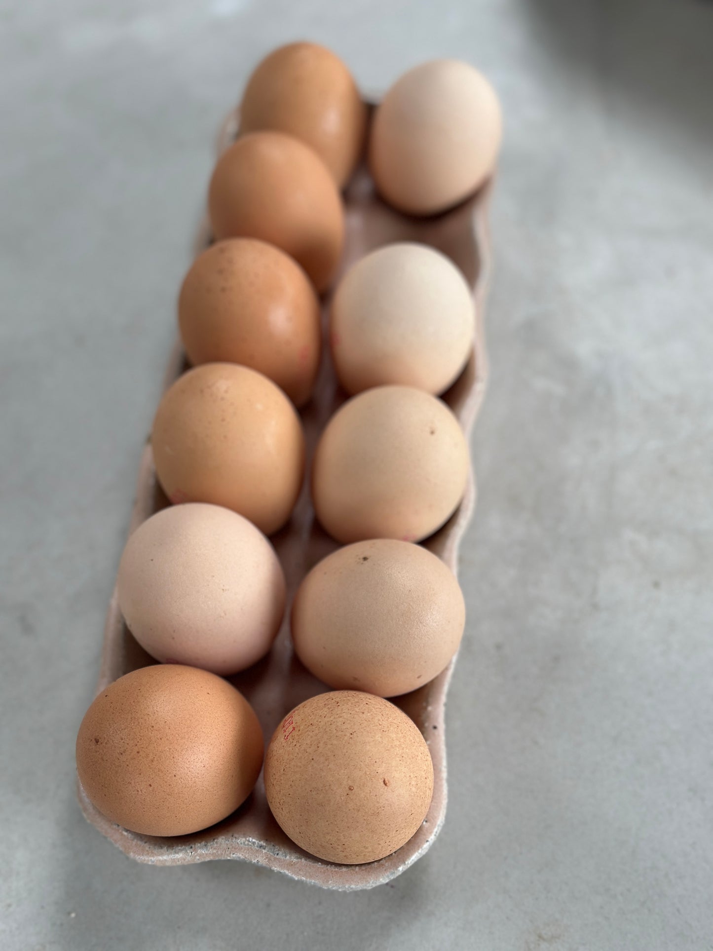Pink egg carton
